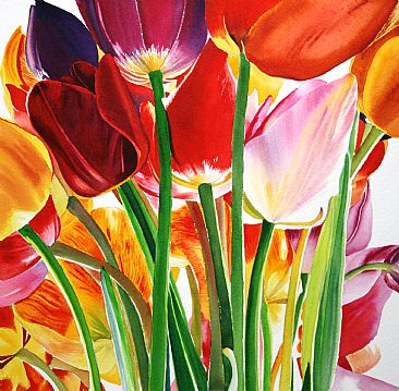 Tulip Explosion - Bright Tulips by Sarah Bent