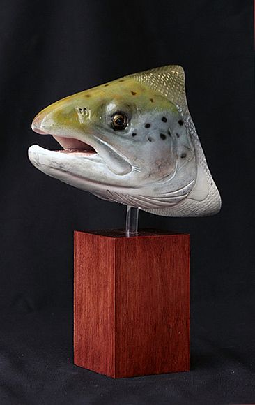 Atlantic Salmon bust - Male Atlantic Salmon bust by Yves Laurent