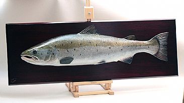 Atlantic salmon trophy plaque -  by Yves Laurent
