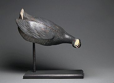 Contemporary antique coot - Coot decoy by Yves Laurent