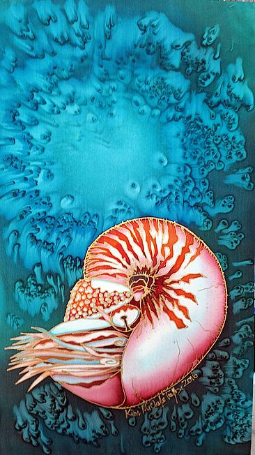 Nautilus Floating -  by Kim Toft
