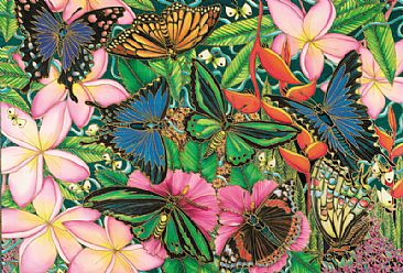 A Pinch Of Butterflies - Butterflies by Kim Toft