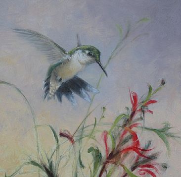 Summer Sprite - Female ruby-throated Hummingbird by Mary Erickson