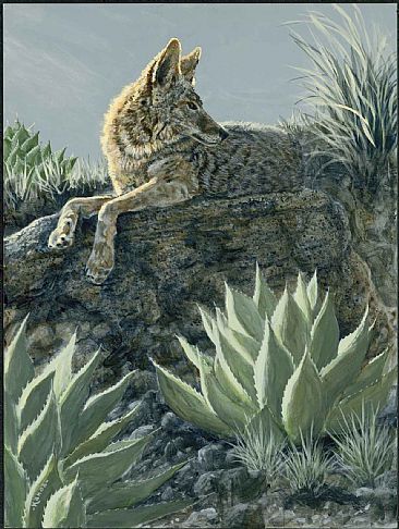 The Rustle - Coyote and Huachuca agaves by Kim Duffek