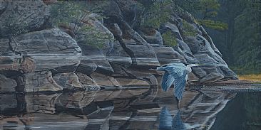 Flight of the Heron - Blue Heron by Ron Plaizier