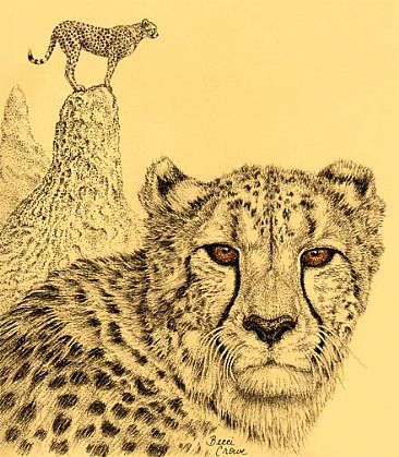 Wild and Free - Cheetah by Becci Crowe