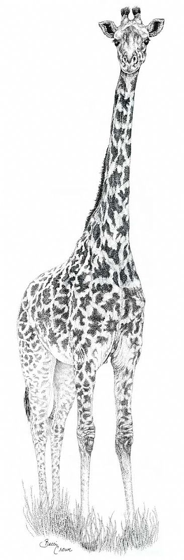 Giraffe - Giraffe by Becci Crowe