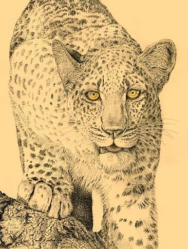 Golden Eye - Leopard by Becci Crowe
