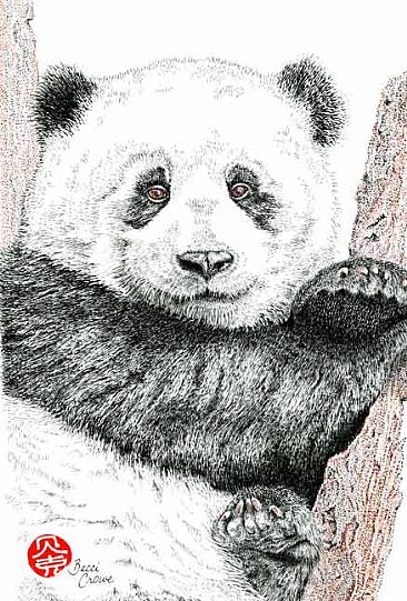 Panda Cub - Giant Pandas by Becci Crowe
