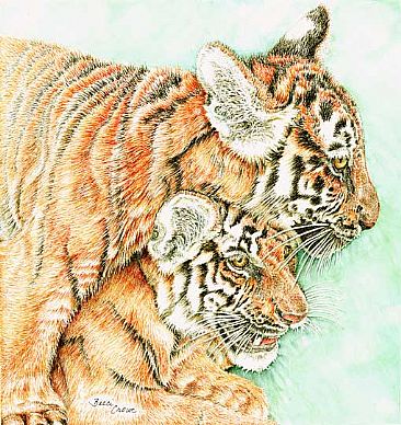 Tiger Cubs  - Tiger by Becci Crowe