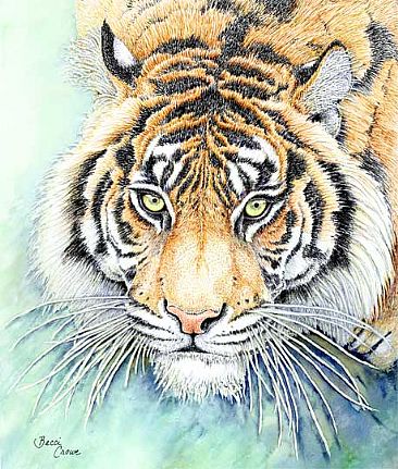 Tiger King - Tiger by Becci Crowe