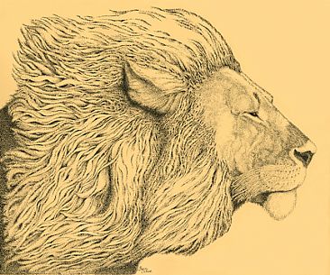 Windblown Sentry - Male Lion by Becci Crowe