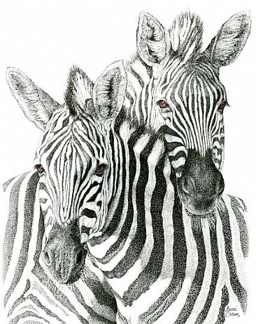 Stripes II - Zebra by Becci Crowe