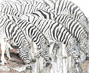 Stripes - zebras by Becci Crowe