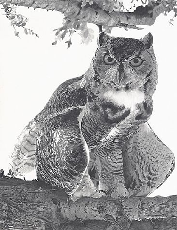 Great Horned Owl -  by Martha Thompson