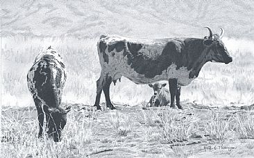 La Vaquilla - Cattle by Martha Thompson