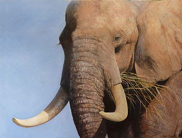 Mumbo Jumbo - SOLD - African Elephant by Paula Wiegmink
