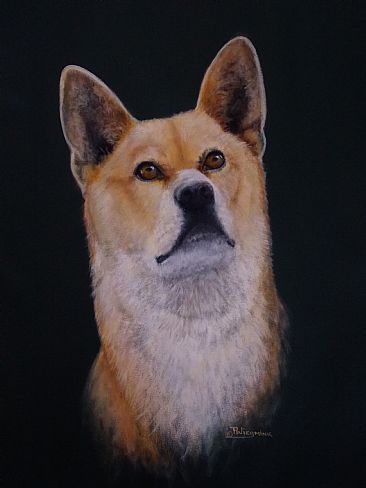 Hope - Jindo Dog by Paula Wiegmink