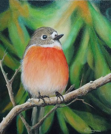 Little Robin Red Breast - Birds by Paula Wiegmink