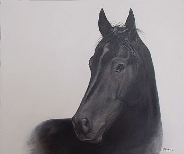 Noir de jais - SOLD - Thoroughbred horse by Paula Wiegmink