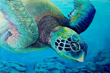 Neptunes Garden - Sea Turtle by Paula Wiegmink
