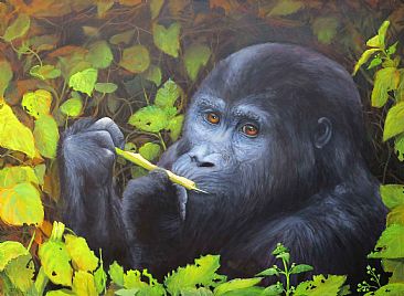 Gorilla in our midst - SOLD - Endangered species by Paula Wiegmink