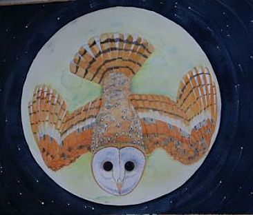 Barn Owl Moon - Owl in the moon by Rob Butler