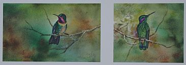 Tropical Hummingbirds - Diptych of hummingbirds by Jan Lutz