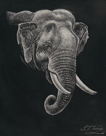 Elephant in Sukhothai, Thailand -  by Krish Krishnan