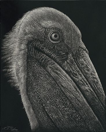 Can I trust you? Brown Pelican, Tulum, Mexico -  by Krish Krishnan