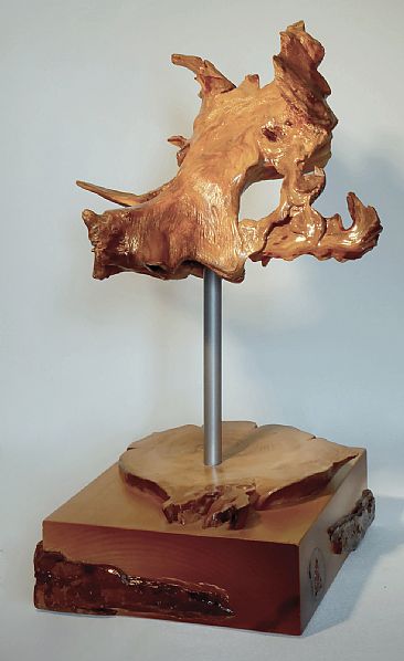 Warthog -  by Vladimir Lopatin