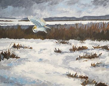 Hard Times - Barn Owl in snow by Russ Heselden