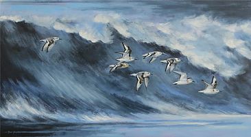 Air surfing - Sanderlings by Russ Heselden