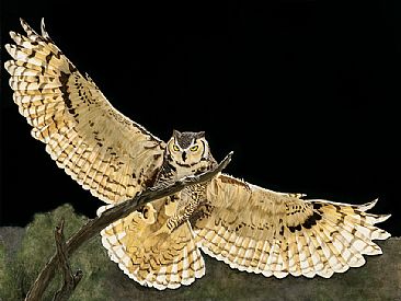 Great Horned Owl -  by Priscilla Baldwin