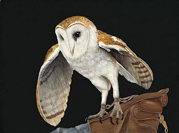 Handle with Care - Barn Owl by Priscilla Baldwin
