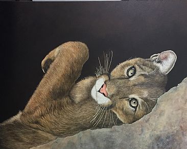 LION AROUND - MOUNTAIN LION by Priscilla Baldwin