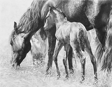 Newborns Wear Halos - Mustangs by Amy Larson