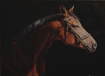 Rhoyal Contucci - Dressage Horse by Amy Larson
