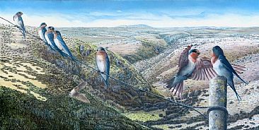Convergence - Birds - Welcome Swallows by Fiona Goulding
