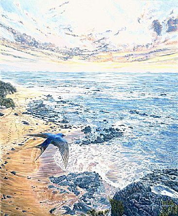 Egress - Seascape - Northland with Welcome Swallow by Fiona Goulding