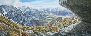 On the Edge - Birds - New Zealand Rock Wren by Fiona Goulding