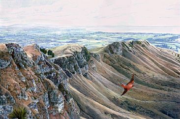 Soar, Te Mata Peak - Landscape - Te Mata Peak with Welcome Swallow by Fiona Goulding