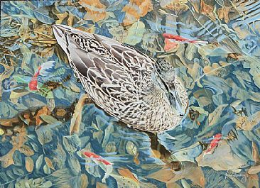 Surrounded - Birds - Female Mallard by Fiona Goulding