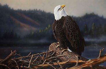 Eagles Domain - Bald Eagle by James Hough