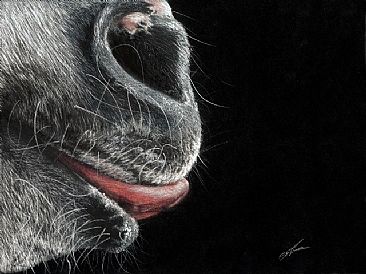 Muzzle - Equestrian by Lyn Vik
