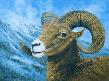 Vigilance - Bighorn Sheep by Patricia Banks
