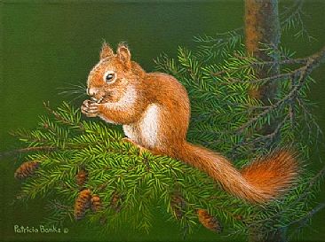 Red Squirrel - wildlife by Patricia Banks