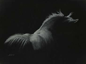 Grace - White Horse by Susan Shimeld