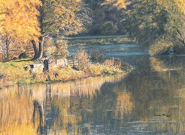 Autumn Reflections - River Avon, reflections of autumnal trees.   by Susan Shimeld