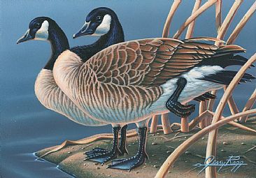 Soul Mates - Canadian Geese, Goose by Jerry Ragg